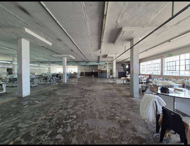 4,000M² WAREHOUSE TO LET IN ELSIES RIVER INDUSTRIAL